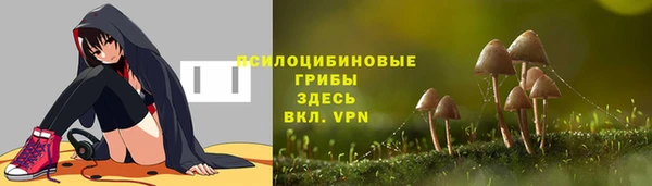 хмурый Абдулино
